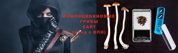 прущий лед Горняк